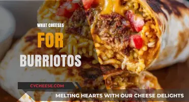 Best Cheeses for Burritos: Melty, Flavorful, and Perfect Pairings