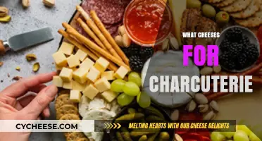 Perfect Pairings: Best Cheeses for Your Charcuterie Board Guide