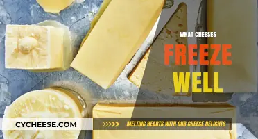 Best Cheeses for Freezing: A Guide to Preserving Dairy Delights