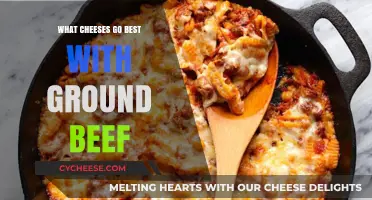Cheese and Ground Beef: The Perfect Pairing