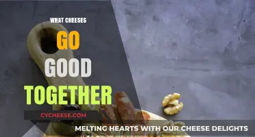 Perfect Cheese Pairings: Delicious Combinations to Elevate Your Cheese Board