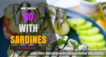 Perfect Pairings: Cheeses That Complement Sardines for Delicious Snacks