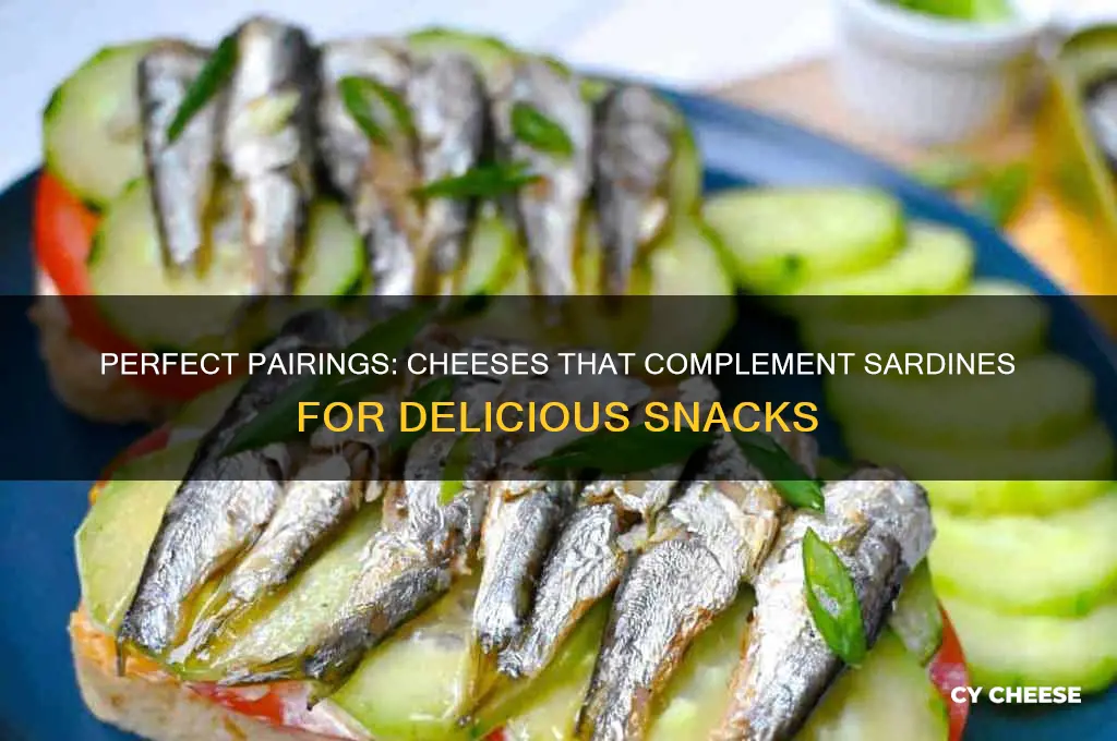 what cheeses go with sardines