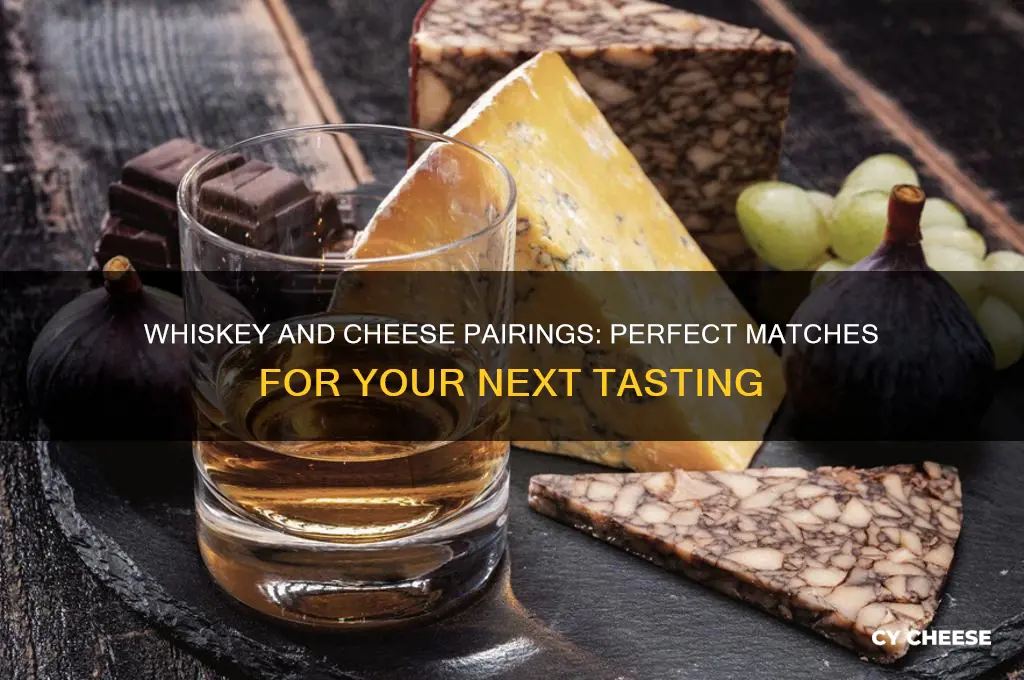 what cheeses go with whiskey