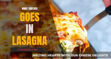 Lasagna's Cheesy Affair: Perfect Combinations for Your Dish