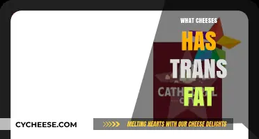 Trans Fat in Cheese: Which Varieties to Avoid for Health