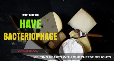Bacteriophages in Cheese: Which Varieties Are Affected and Why