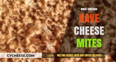 Cheese Mites Unveiled: Exploring Cheeses with Tiny Crawling Companions