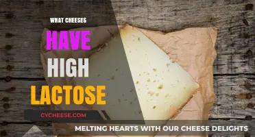 High-Lactose Cheeses to Avoid: A Guide for Sensitive Stomachs