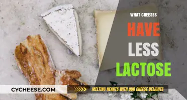 Low-Lactose Cheese Guide: Enjoy Dairy Without the Discomfort