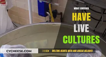 Live Cultures in Cheese: Which Varieties Offer Probiotic Benefits?