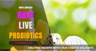 Discover Cheeses Packed with Live Probiotics for Gut Health