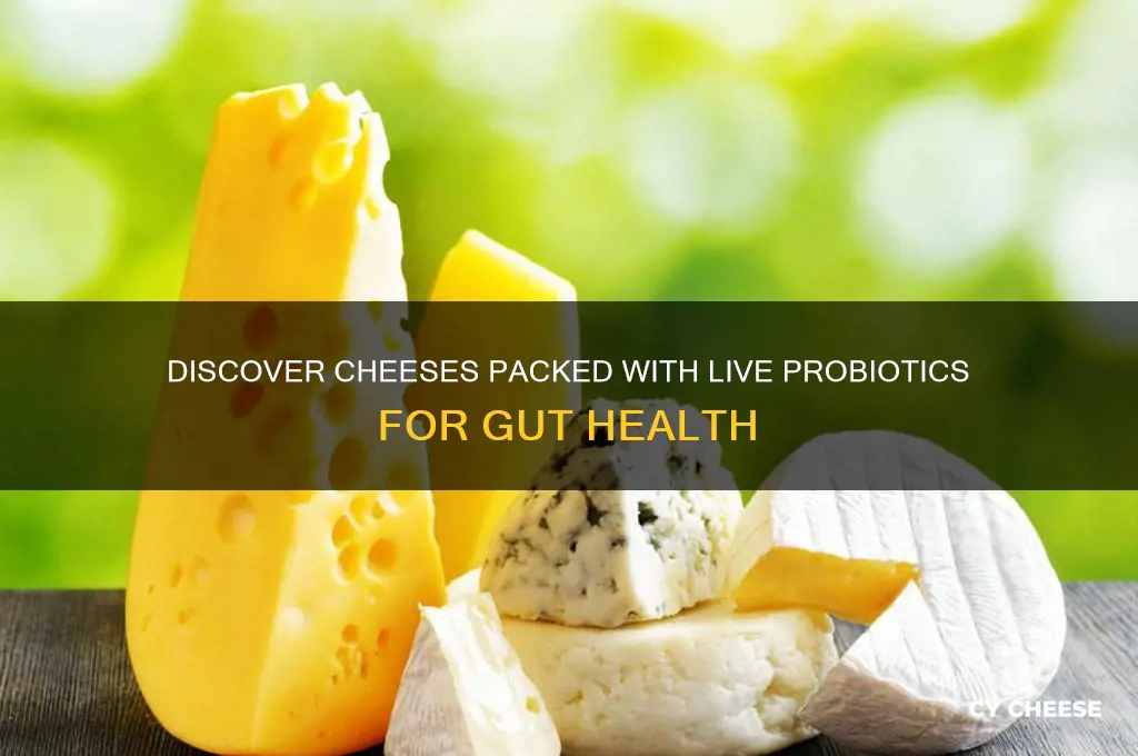 what cheeses have live probiotics