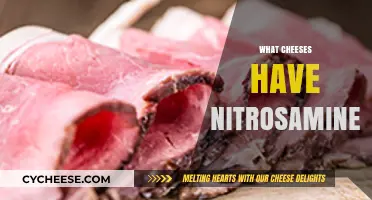 Nitrosamines in Cheese: Which Varieties Contain These Compounds?