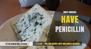 Cheese and Penicillin: Which Varieties Contain the Famous Mold?