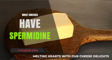 Spermidine-Rich Cheeses: Unlocking Anti-Aging Benefits in Your Favorite Dairy