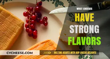 Bold and Pungent: Exploring Cheeses with the Strongest Flavors