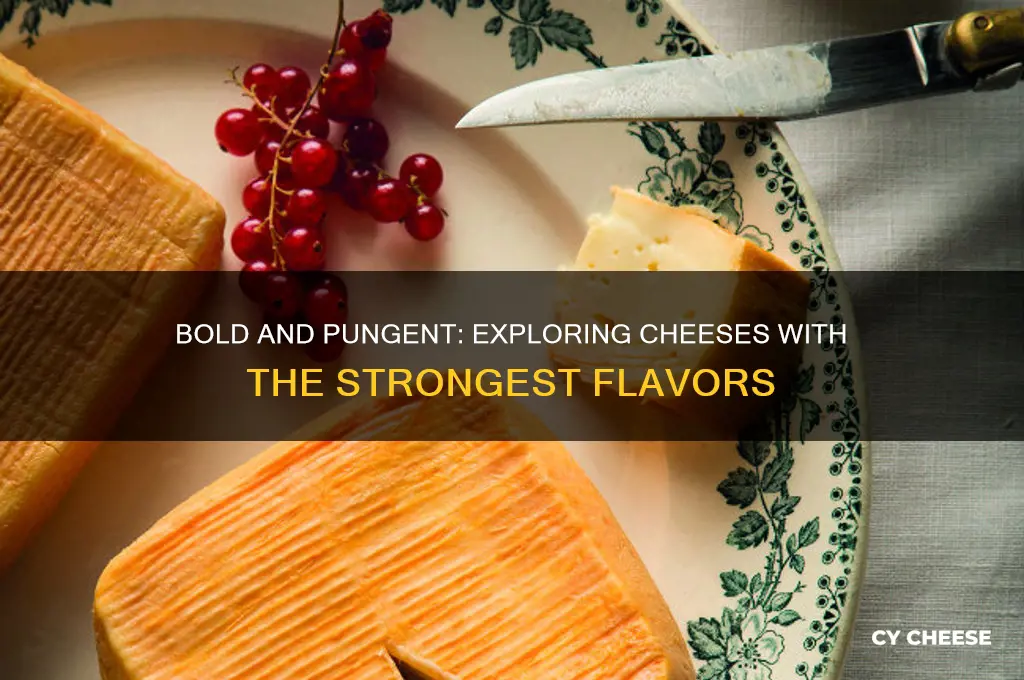 what cheeses have strong flavors