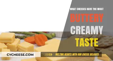 Indulge in Buttery Bliss: Top Creamy Cheeses to Savor
