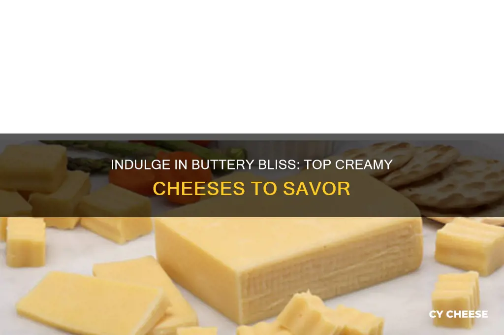 what cheeses have the most buttery creamy taste