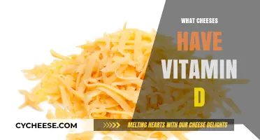 Cheese Varieties Rich in Vitamin D: A Nutritious Dairy Guide
