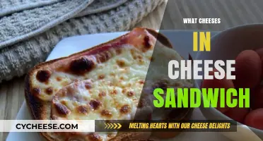 Perfect Cheese Sandwich: Top Cheese Combinations for Ultimate Melty Bliss