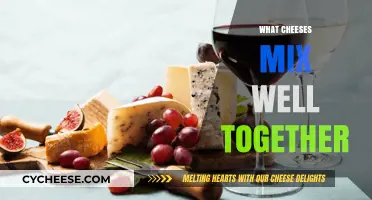 Perfect Cheese Pairings: Blending Flavors for Delicious Combinations