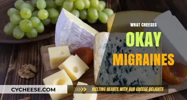 Cheese and Migraines: Which Varieties Are Safe to Enjoy?