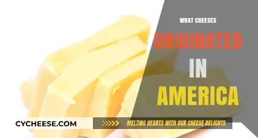 American Cheese Heritage: Discovering the Origins of Iconic U.S. Varieties