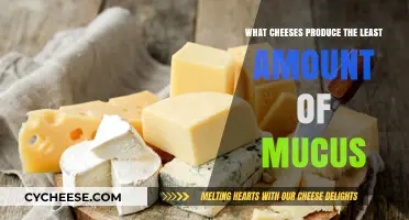Cheese Choices to Minimize Mucus: Low-Mucus Cheese Options