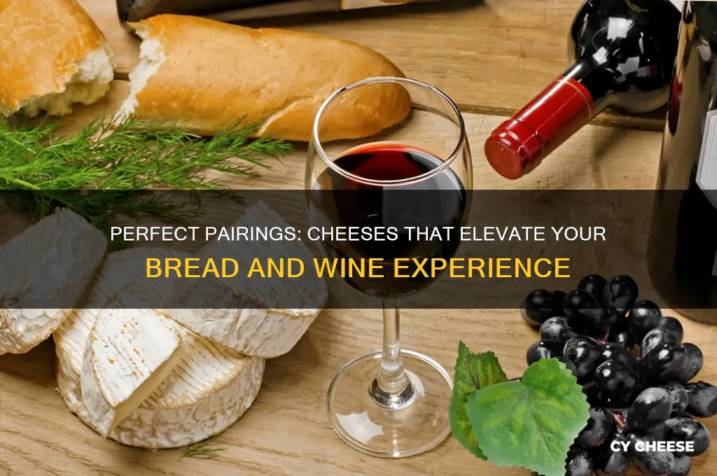 what cheeses taste good with bread and wine