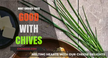 Chive Cheese Pairings: Top Flavors to Elevate Your Snack Game