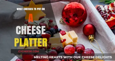 Creating a Perfect Cheese Platter: Best Cheeses to Choose