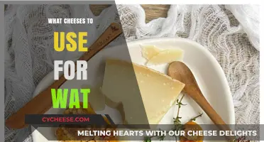 Cheese and Wine: Perfect Pairing for a Tasty Treat