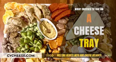 Cheese Tray Essentials: Curating the Perfect Selection