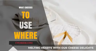 Cheese Guide: Choosing the Right Cheese for Every Dish