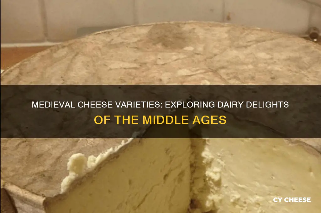 what cheeses were available in the medevil times