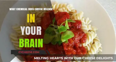 Cheese Bliss: Unveiling the Brain Chemical Behind Its Irresistible Appeal