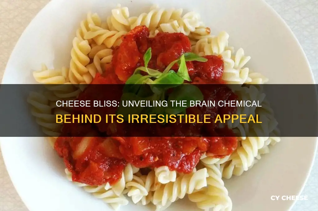 what chemical does cheese release in your brain