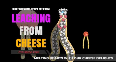 Preventing Fat Leaching in Cheese: The Role of Phospholipids Explained