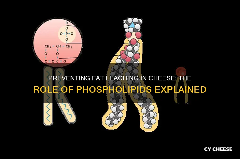 what chemical keeps fat from leaching from cheese
