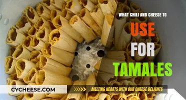 The Best Chili and Cheese Combinations for Tamales