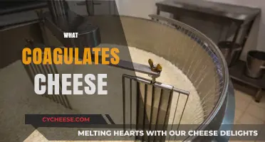 Understanding the Science Behind Cheese Coagulation: Key Factors Explained