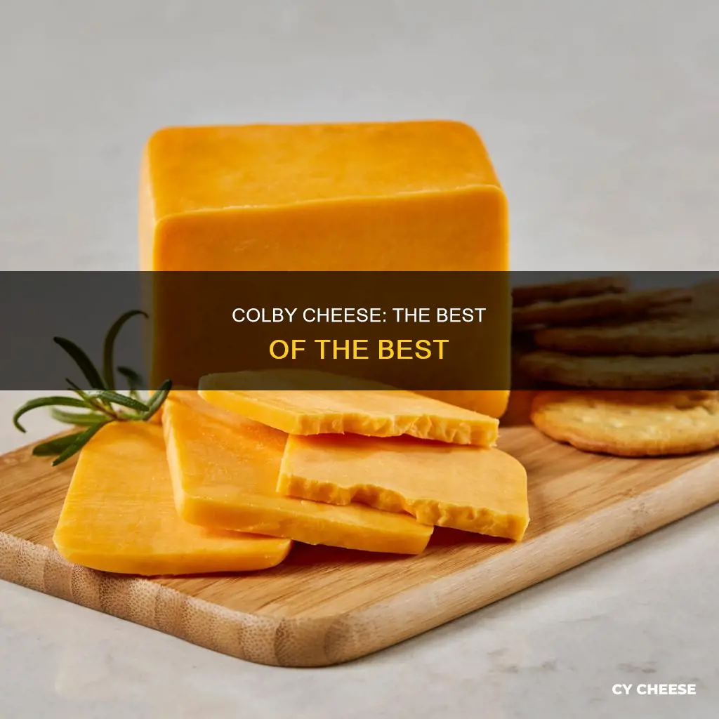 what colby cheese won best chhese