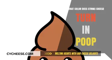 String Cheese Poop Color: What to Expect After Eating It