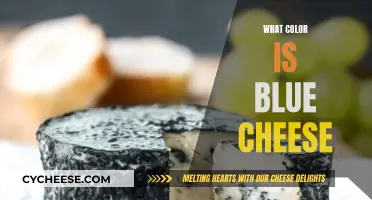 Blue Cheese: Why It's Bluish-Green, Not Blue