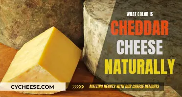 The Natural Cheddar Cheese Color: Unveiling the Golden Hue