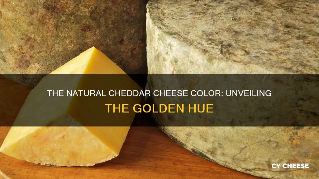 what color is cheddar cheese naturally