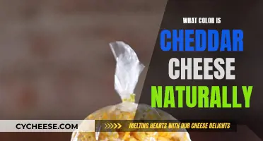 The Natural Color Spectrum of Cheddar Cheese