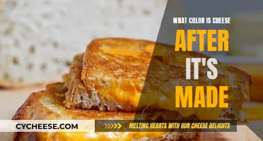 Cheese and Color: The Art of Dairy